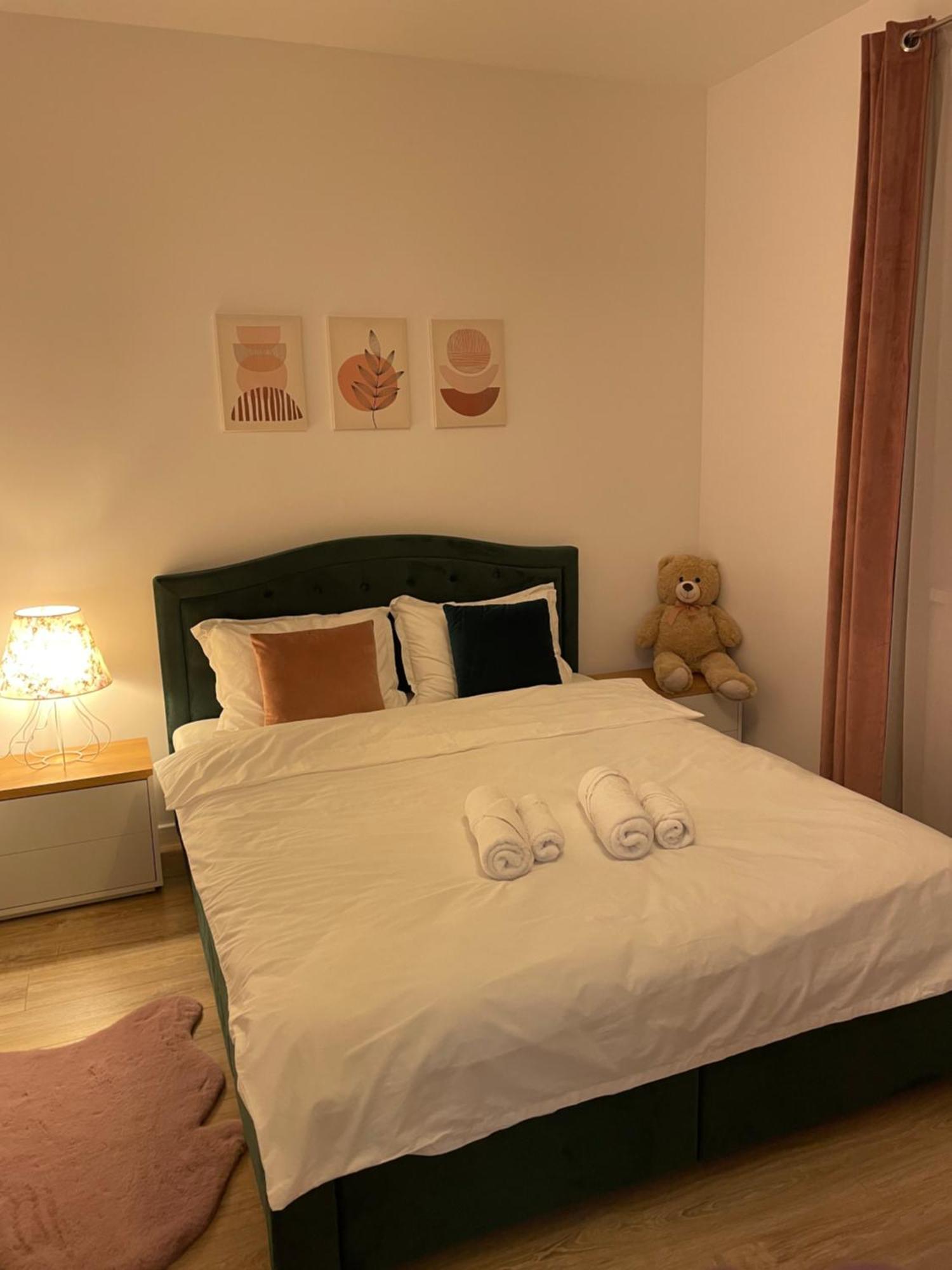 Negruzzi Apartment Dumbravita  外观 照片