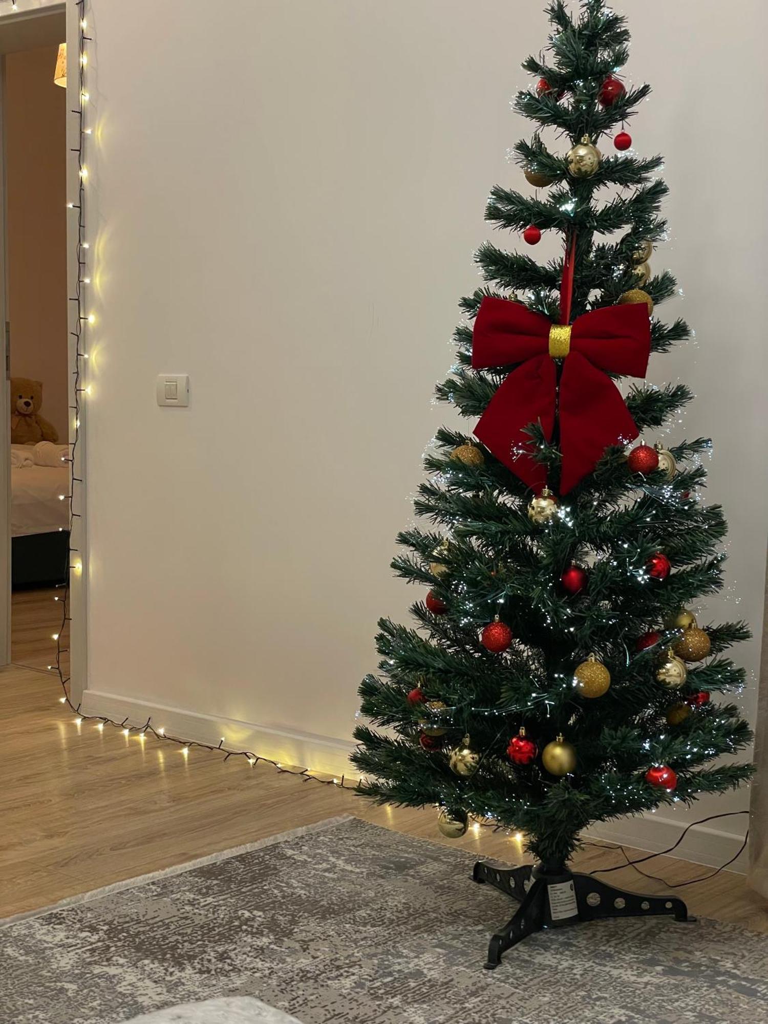Negruzzi Apartment Dumbravita  外观 照片
